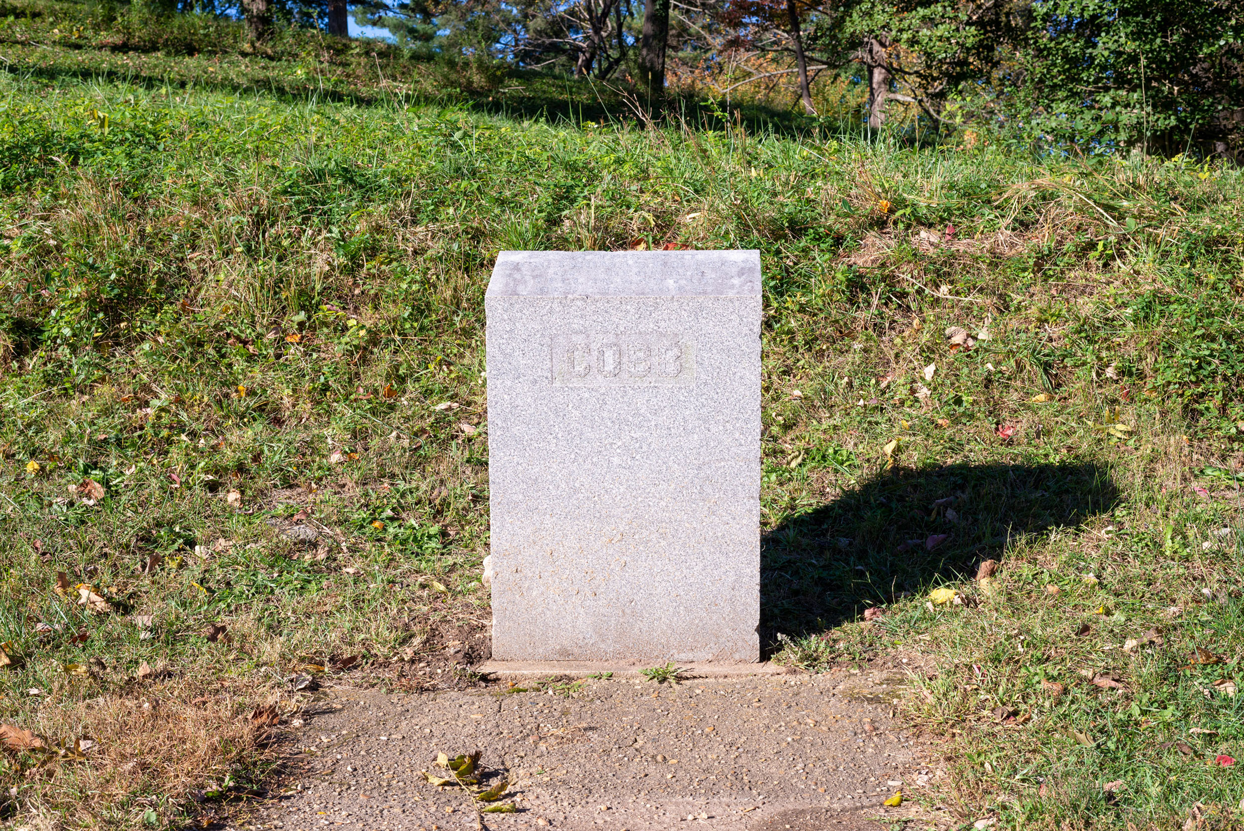 A rectangular granite monument with the word Cobb written on it.