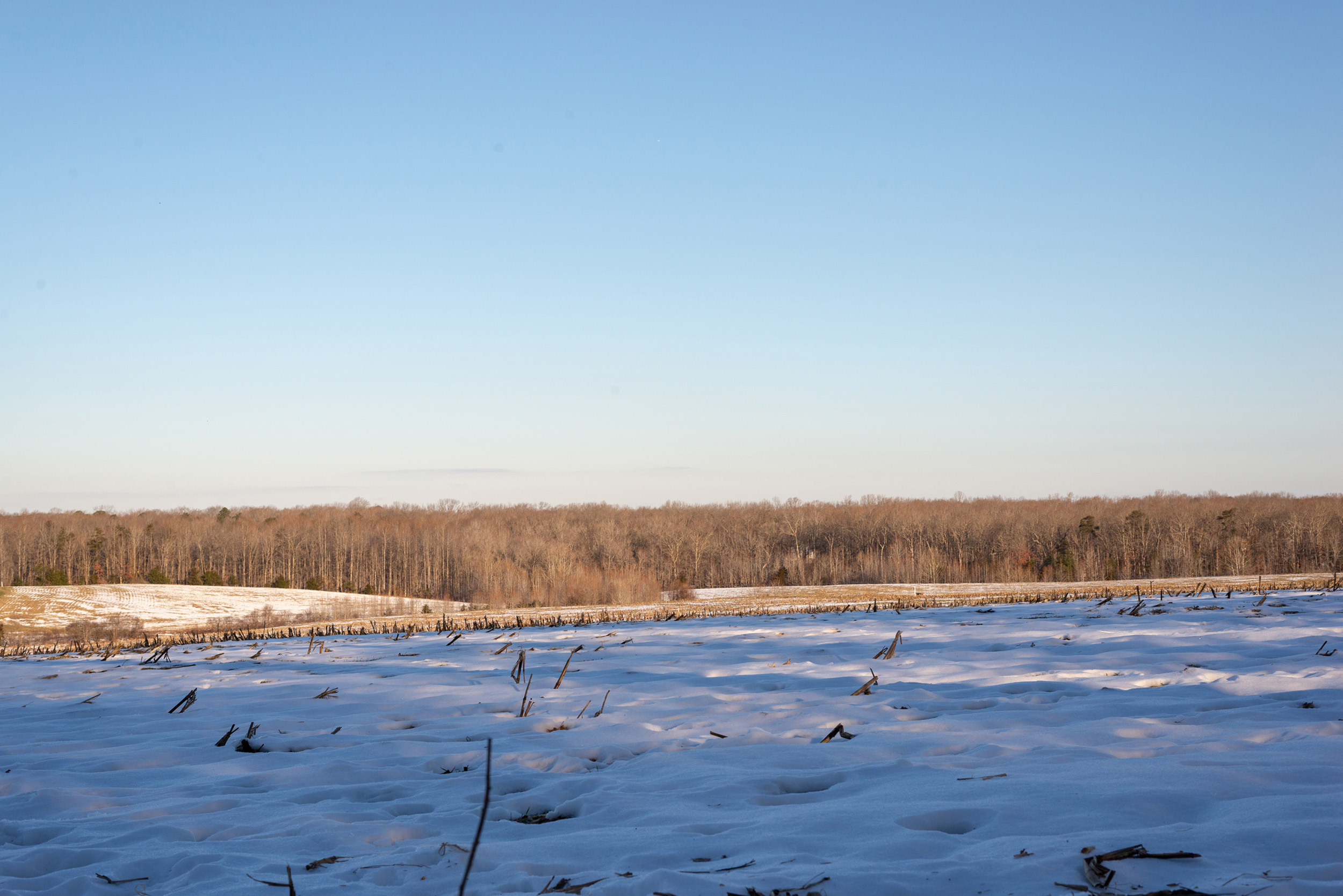 An open agricultural fields, sloping hills, covered in 2 inches of snow