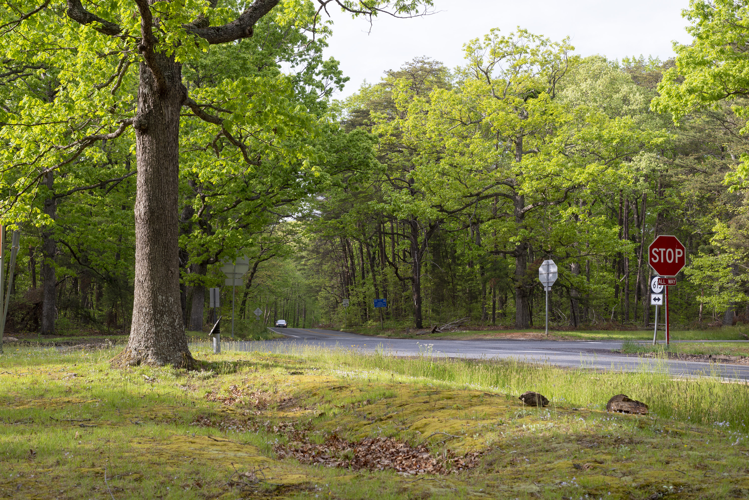 A road intersection next to a line of Civil War trenches.