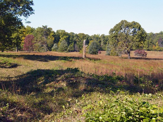 Earthworks on East Face of Salient