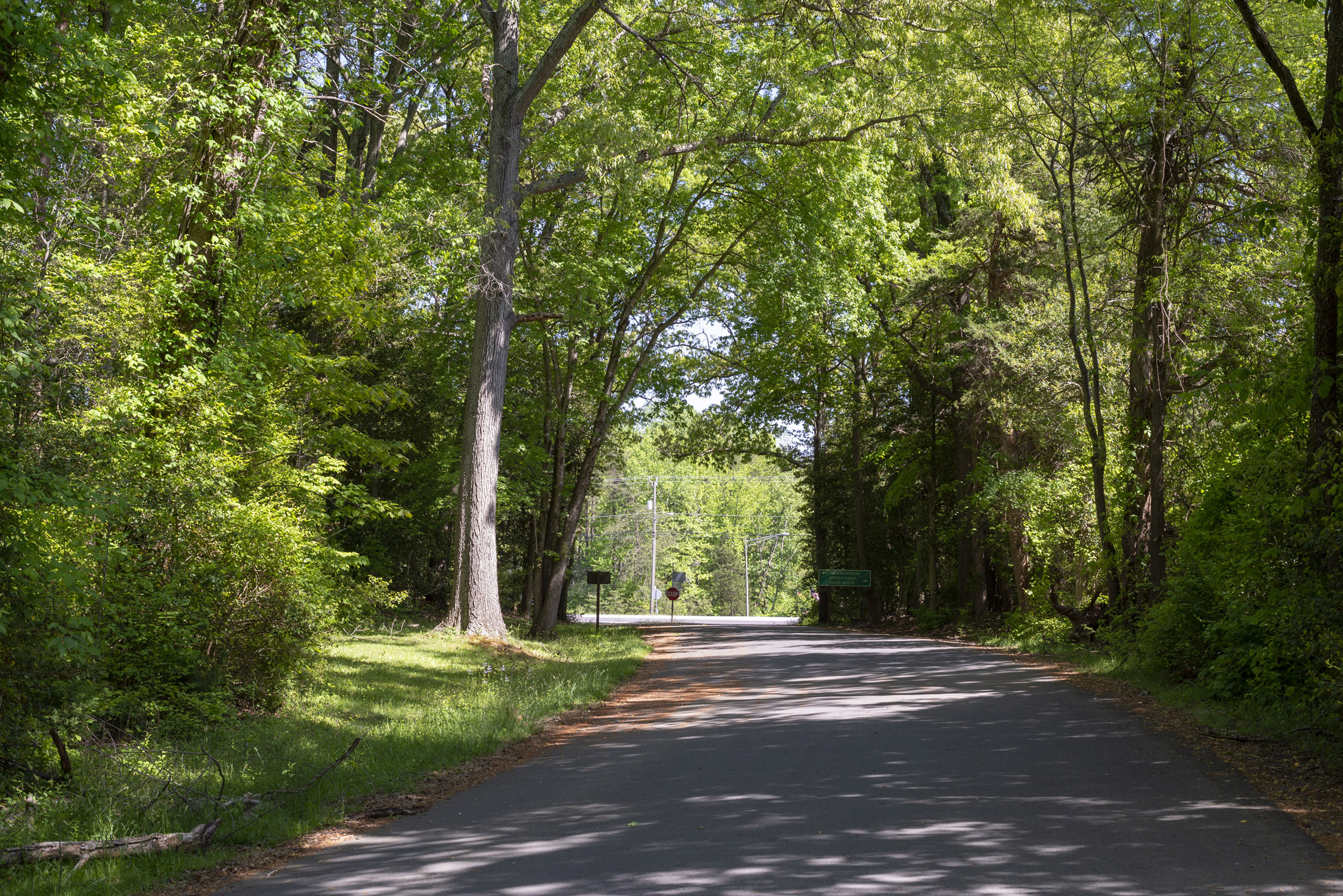 A road lines with trees leading to a highway.