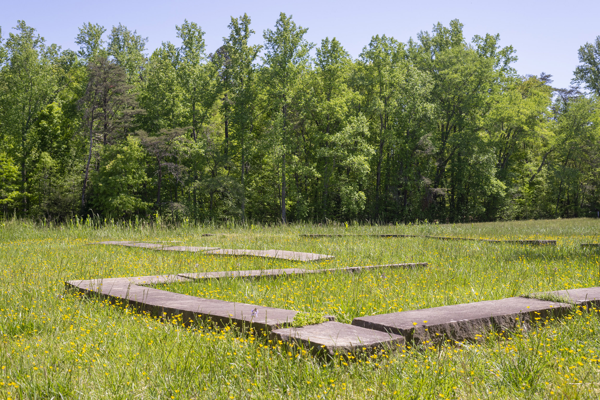 The stone foundations of a house in a field.