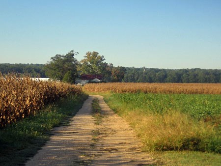 Virtual Tour Stop Slaughter Pen Farm Fredericksburg Spotsylvania National Military Park U S National Park Service