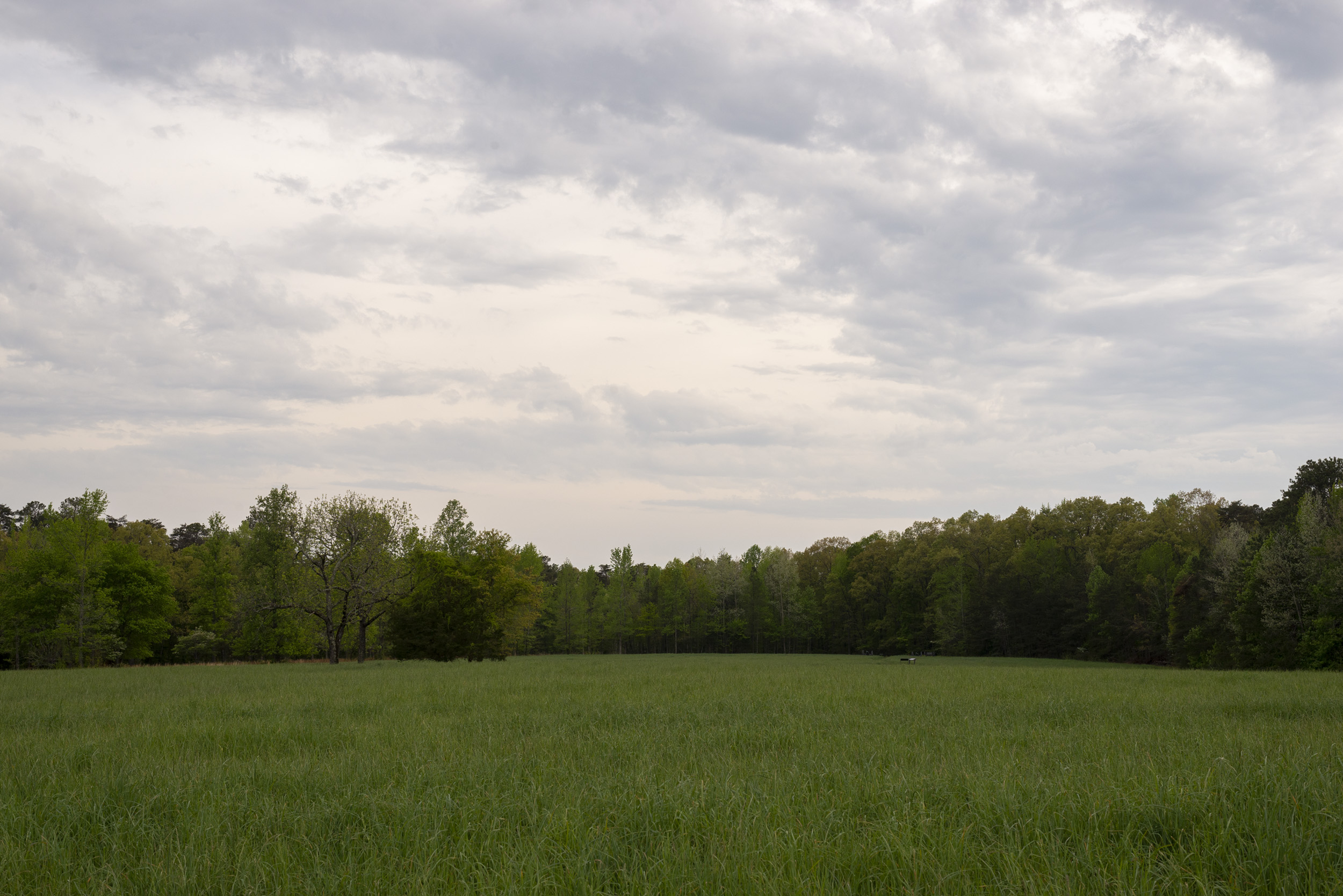 An open grassy field with trees in the distance.