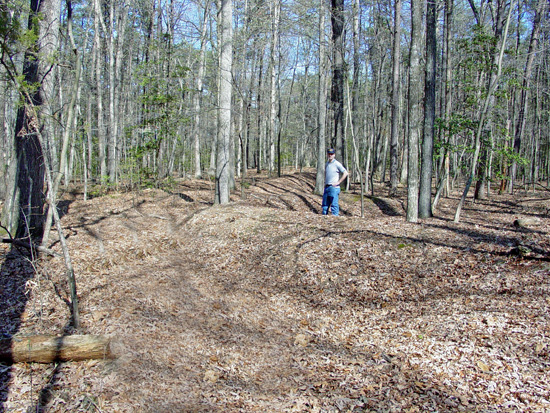 Confederate artillery emplacements of Lee's Last Line
