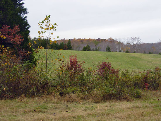 Higgerson Farm