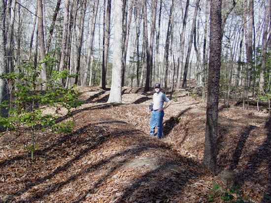 Confederate earthworks of Lee's Last Line