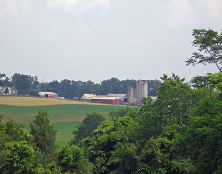 View from Ellwood