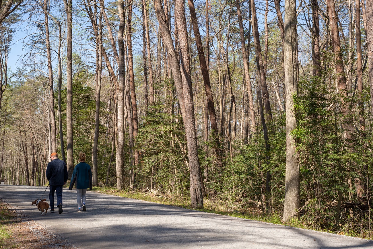 Walking a Dog at Spotsylvania A couple walking a dog along a park road.
