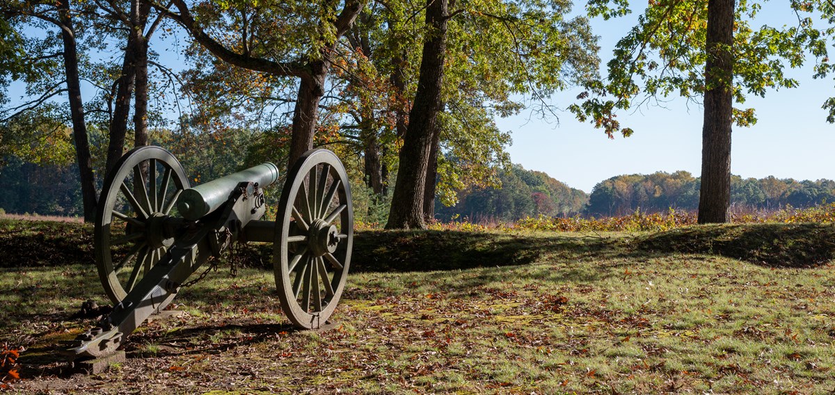 A cannon pointed to a field surrounded by fall trees.