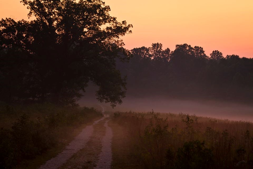 Sun sets and mist hangs low over a dirt section of the Spotsylvania History Trail Sun sets and mist hangs low over a dirt section of the Spotsylvania History Trail