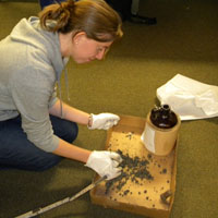 Intern Rebecca Gavin examining the contents of a jug in the collection.