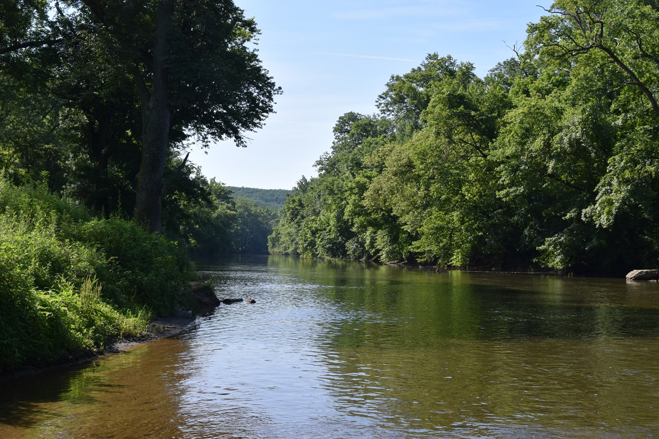 Looking down the Brandywine Creek on a sunny summer day.