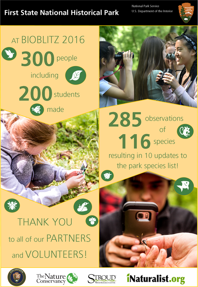 BioBlitz Info At BioBlitz 2016 300 people including 200 students made 285 observations of 116 species resulting in 10 updates to the park's species list. Thank you to all of our partners and volunteers.