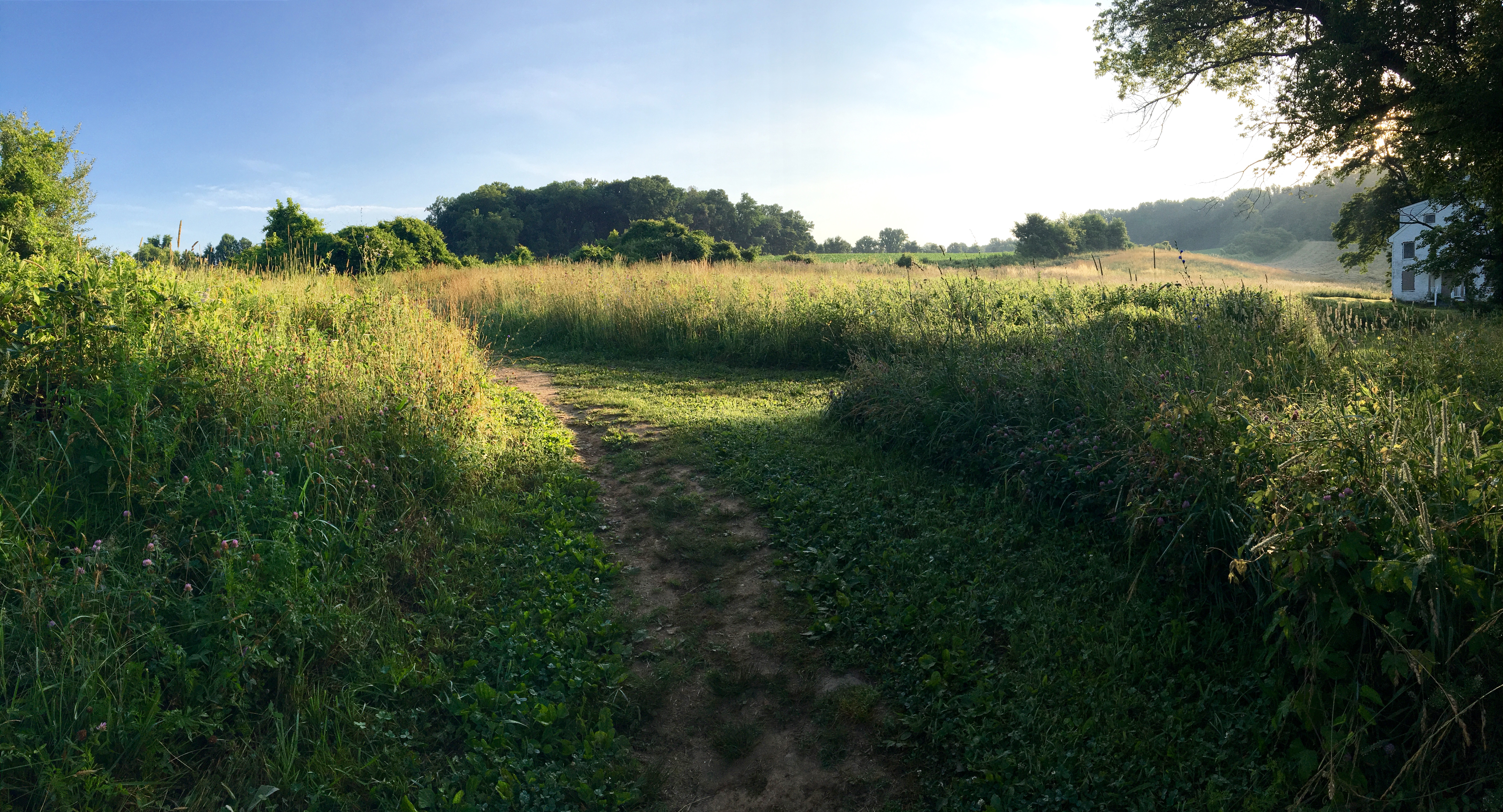 A view of a field overlooking a house after walking out of the wooded trail