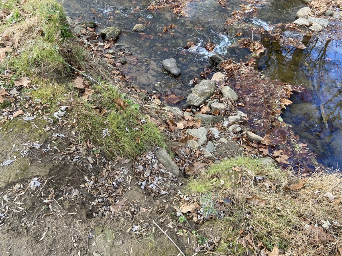 The photo shows a man mad path leading to the water.