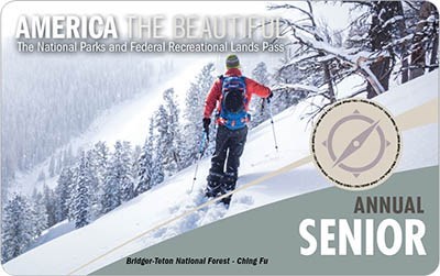 America The Beautiful Senior Annual Pass; A man in a red jacket, skiing along a snowy mountainside.