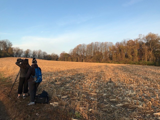 Two people film the sun rising over the fields