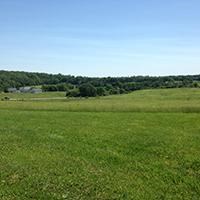 Open field in Beaver Valley