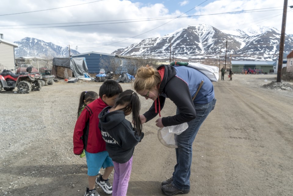 Identifying species in Anaktuvuk Pass, 2016 Bioblitz