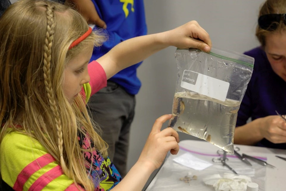 Identifying species in Anaktuvuk Pass, 2016 Bioblitz