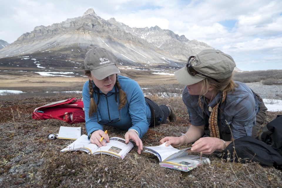 Identifying species on the tundra, 2016 Bioblitz