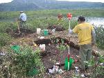 Working at the site