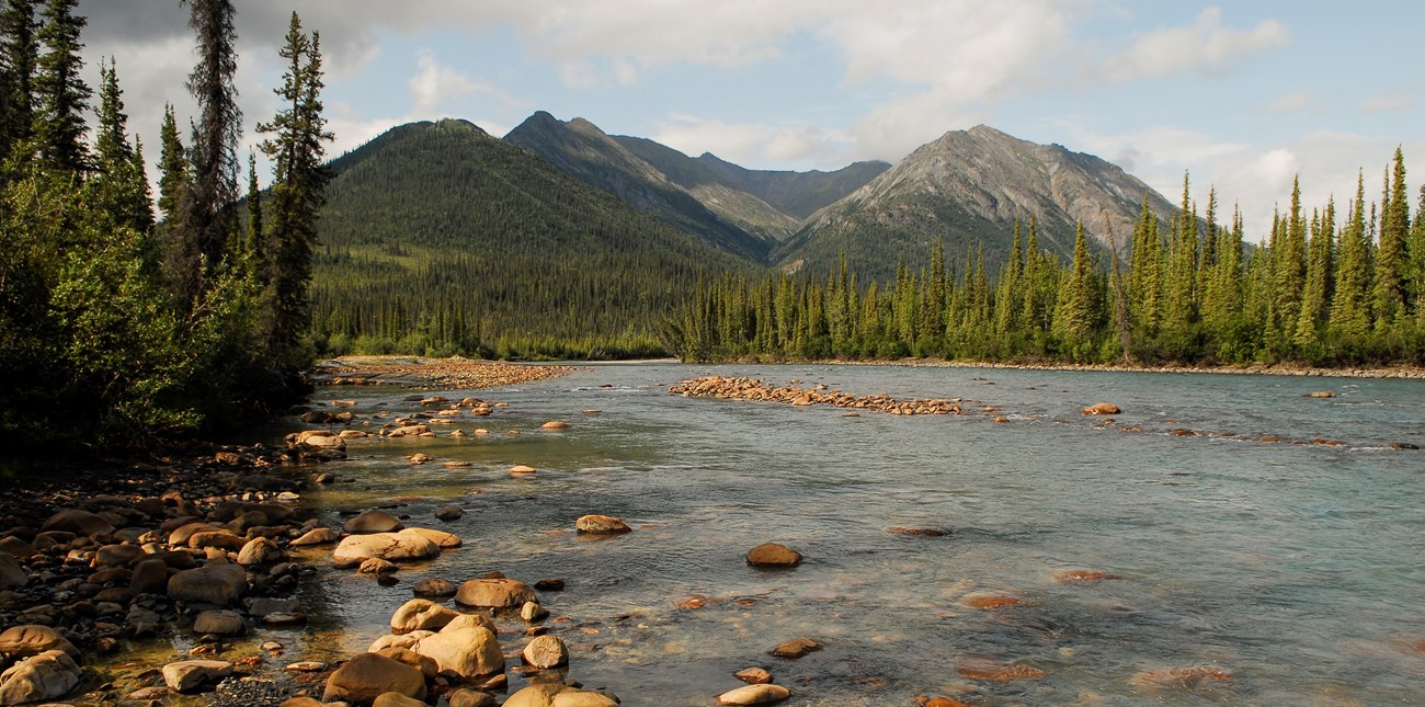 North Fork Koyukuk River with forest and mountains in background