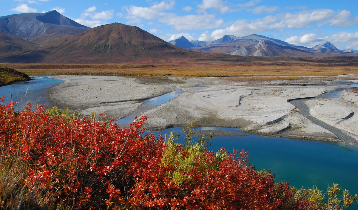 Noatak River flowing through mountains. Red leaves in foreground.