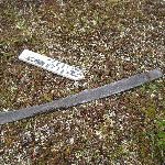 Wooden Bow fragments laying on the tundra.