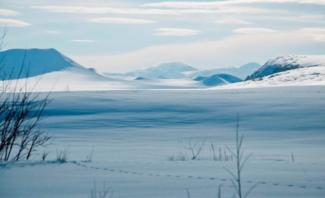 Looking across a vast tundra landscape into a distant mountain valley in winter