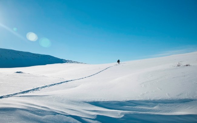 A snowshoer ascending a snow slope with a blue sky background