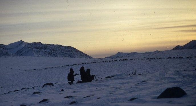 Nunamiut Eskimos hunting caribou on a dusky winter's evening.