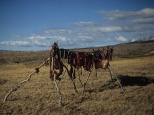 Caribou meat air drying on a wooden rack in Anaktuvuk Pass.