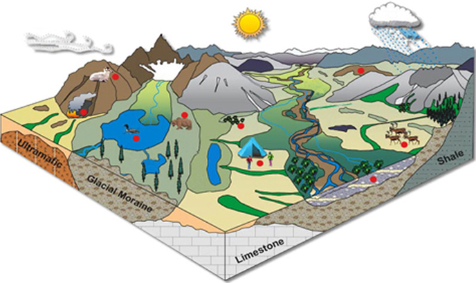 Ecosystem Vital Resources