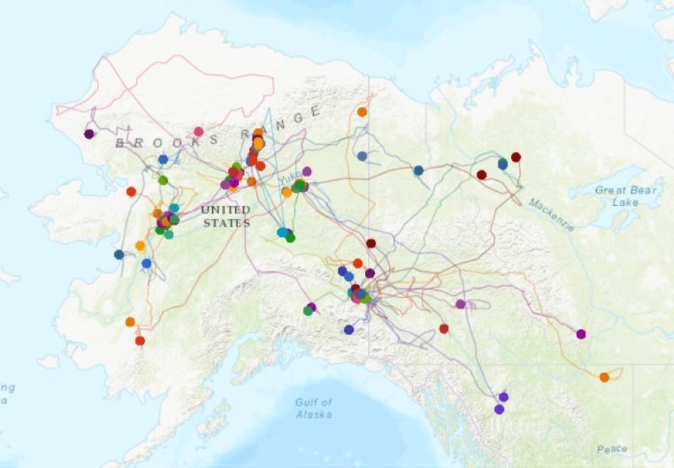 Map image of lynx dispersals in Alaska and Canada