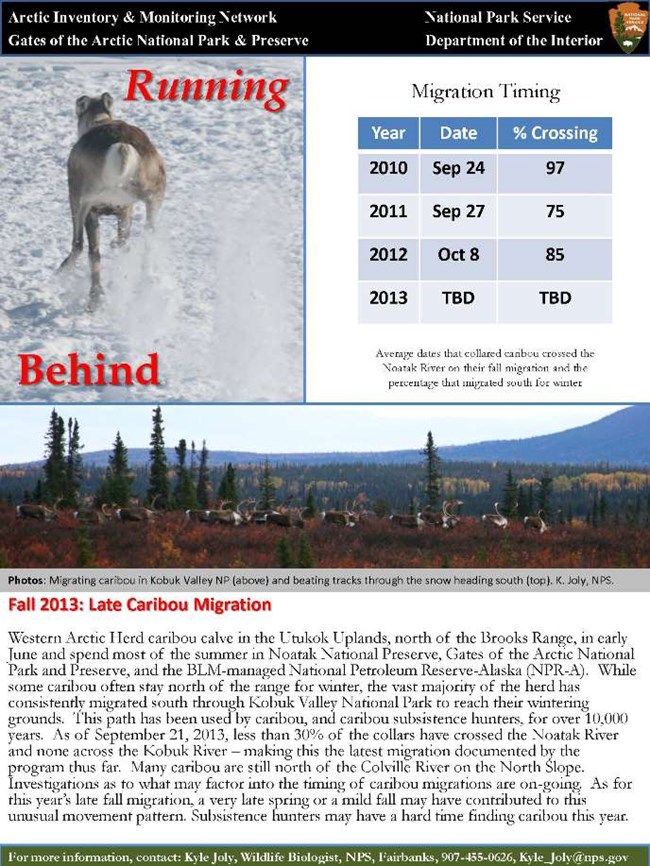 Late Fall Migration resource brief