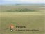Pingos icon_65px