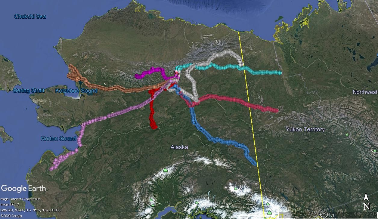 Satellite map image of lynx dispersals in Alaska