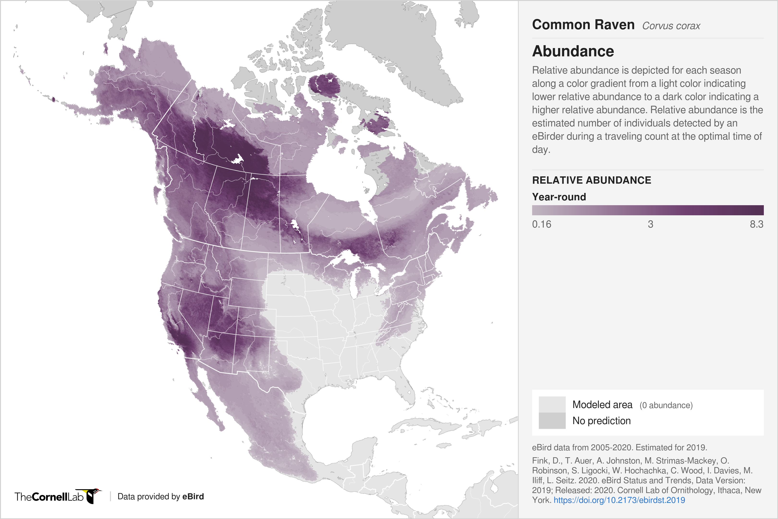 A map showing the abundance of common ravens in North America