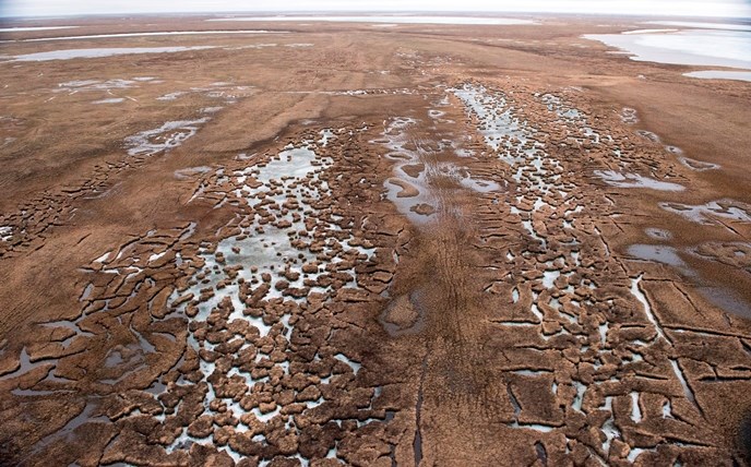 Aerial view of the wet tundra