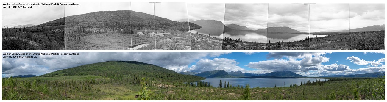 Two panoramic photos of Walker Lake from 1952 and 2018