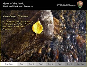 A floating yellow aspen leaf stands out against the river bottom.