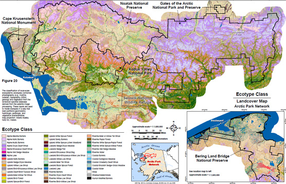 Ecotype Class Landcover Map