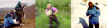 Researchers at work in Fall, Winter and Summer