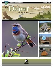 A small image of the Dalton Highway Visitor Guide