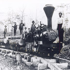 Historic photo of train hauling logs