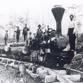 Historic photo of train hauling logs Historic photo of train hauling logs