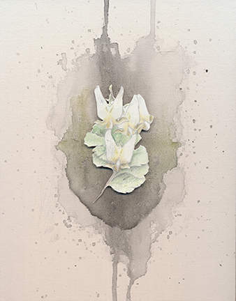 painting of a wildflower painting of a wildflower