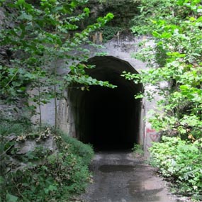 Carnifex Tunnel